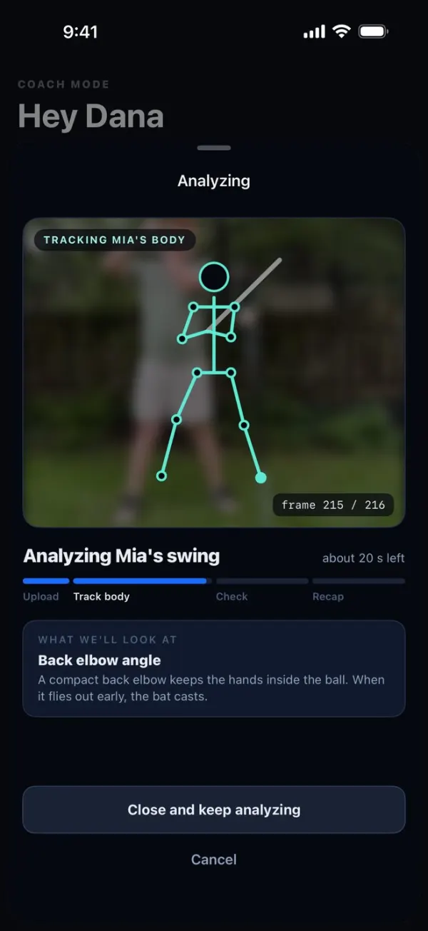 Analyzing screen: a skeleton tracking the hitter's body, frame 215 of 216